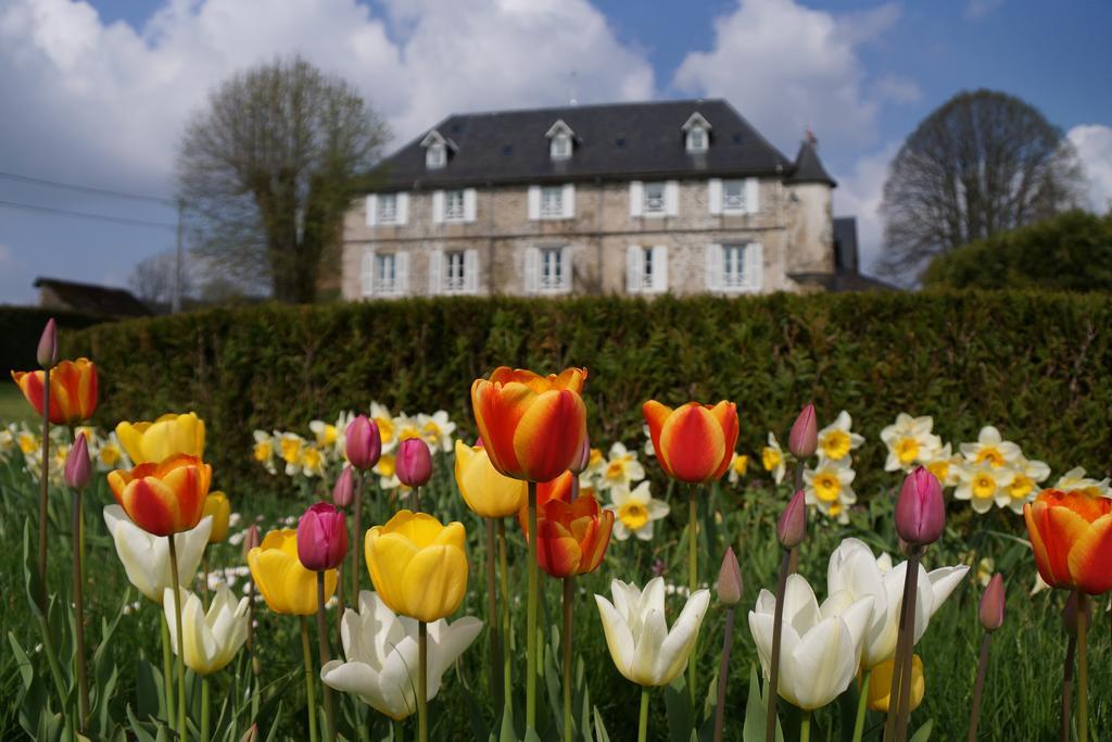 Chateau De Savennes - Caveau De Sabrage Bagian luar foto